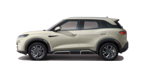 BYD Atto 2
