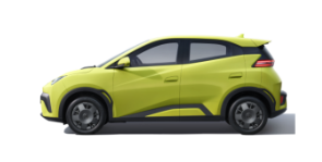 BYD Dolphin Surf